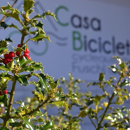 푸슐암시 Casa Bicicletta 아파트 외부 사진
